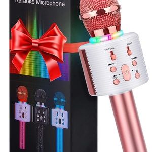 Karaoke microphone